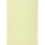 Kobiety T SHIRT TOP | Marks & Spencer REGULAR CREW - T-shirt basic - yellow/żółty - SS09180