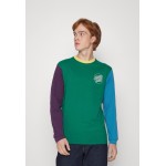 Kobiety T SHIRT TOP | Santa Cruz OPUS DOT COLOUR BLOCK UNISEX - T-shirt z nadrukiem - green/zielony - SY60552