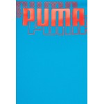Kobiety BEACH TROUSER | Puma SWIM WOMEN HIGH WAIST BRIEF - Dół od bikini - blue combo/niebieski - IH88880
