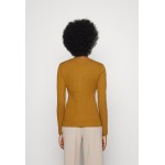 Kobiety PULLOVER | Won Hundred KENDRA - Bluzka z długim rękawem - bronze brown/brązowy - VH40687